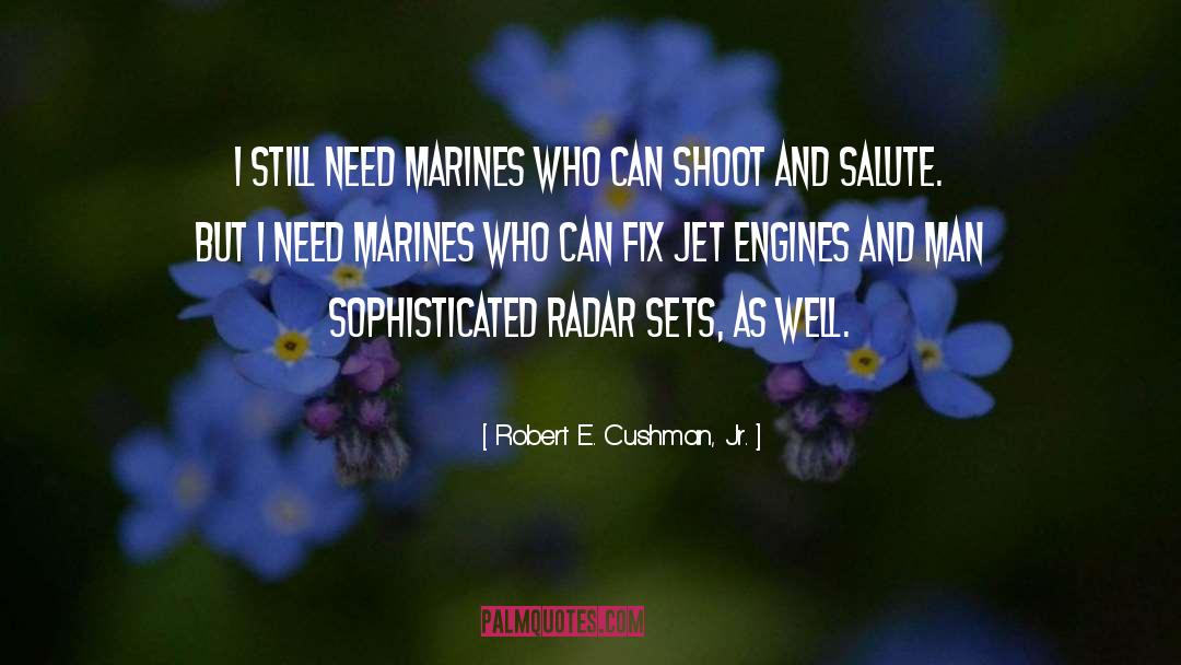 United States Marine Corps quotes by Robert E. Cushman, Jr.
