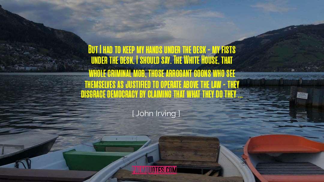United States Of Africa quotes by John Irving