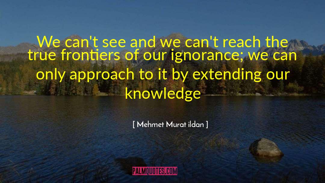 Unity Of Knowledge quotes by Mehmet Murat Ildan