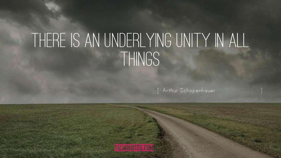 Unity quotes by Arthur Schopenhauer