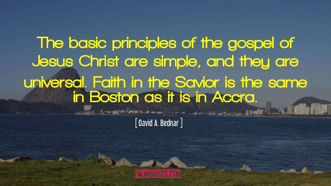 Universal Basic Income quotes by David A. Bednar