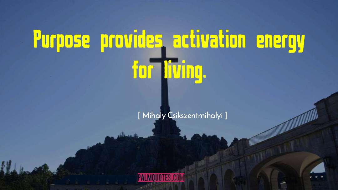 Universal Energy quotes by Mihaly Csikszentmihalyi