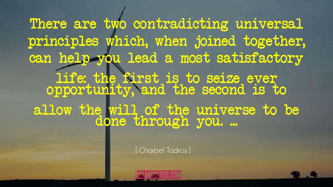 Universal Principles quotes by Charbel Tadros