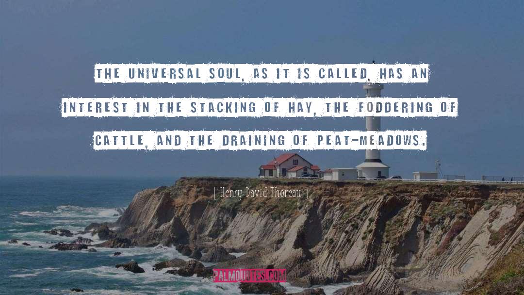 Universal Soul quotes by Henry David Thoreau