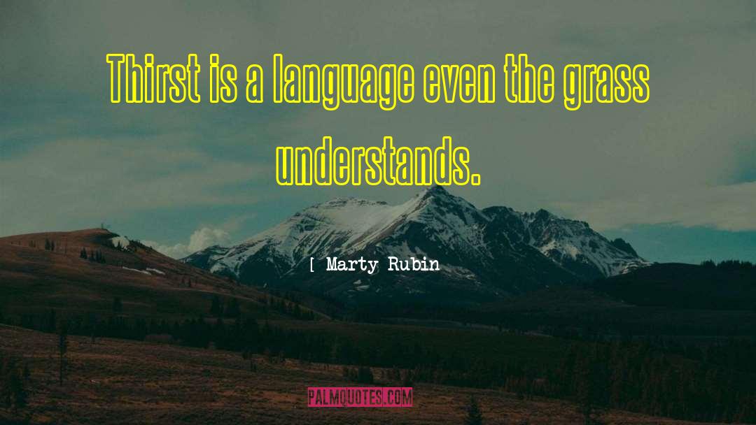 Universality quotes by Marty Rubin