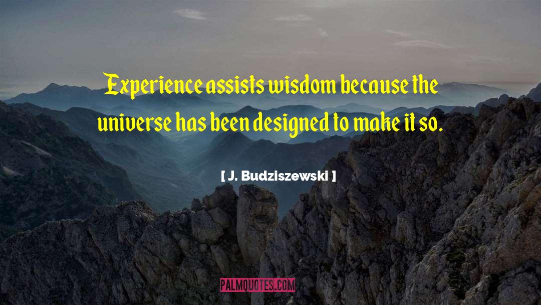 Universe Has Designed Use quotes by J. Budziszewski