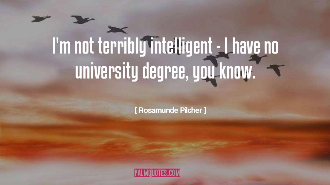 University Degree quotes by Rosamunde Pilcher