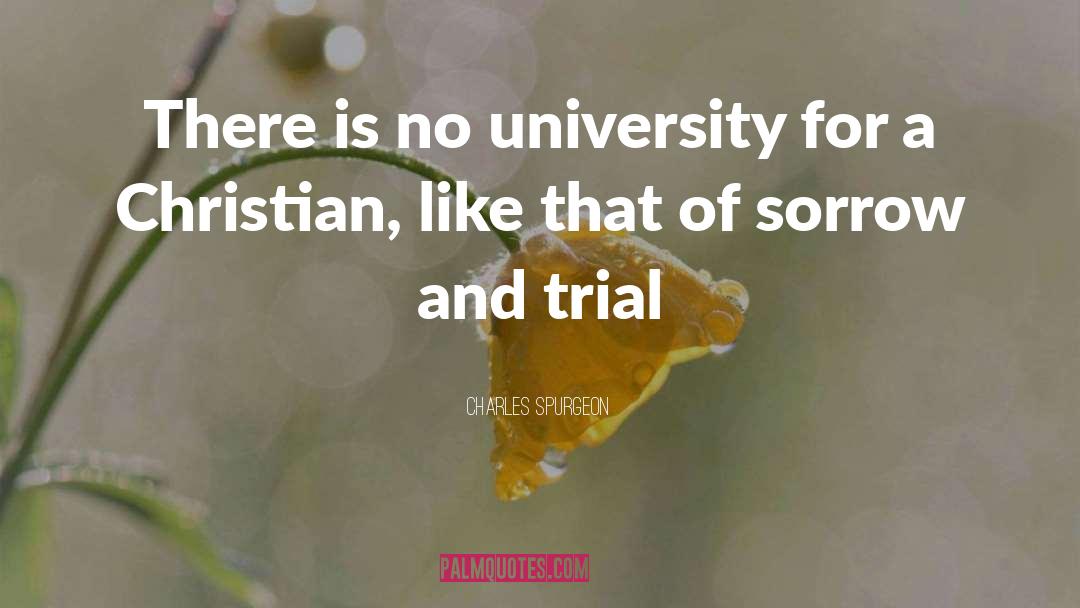 University Degrees quotes by Charles Spurgeon