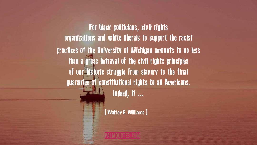 University Of Michigan quotes by Walter E. Williams