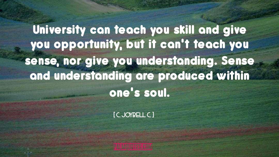 University quotes by C. JoyBell C.