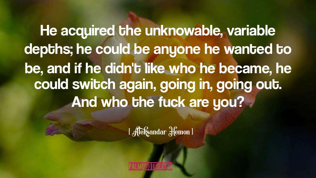 Unknowable quotes by Aleksandar Hemon