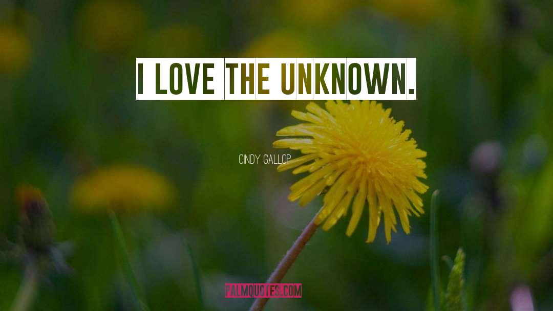 Unknown Love quotes by Cindy Gallop