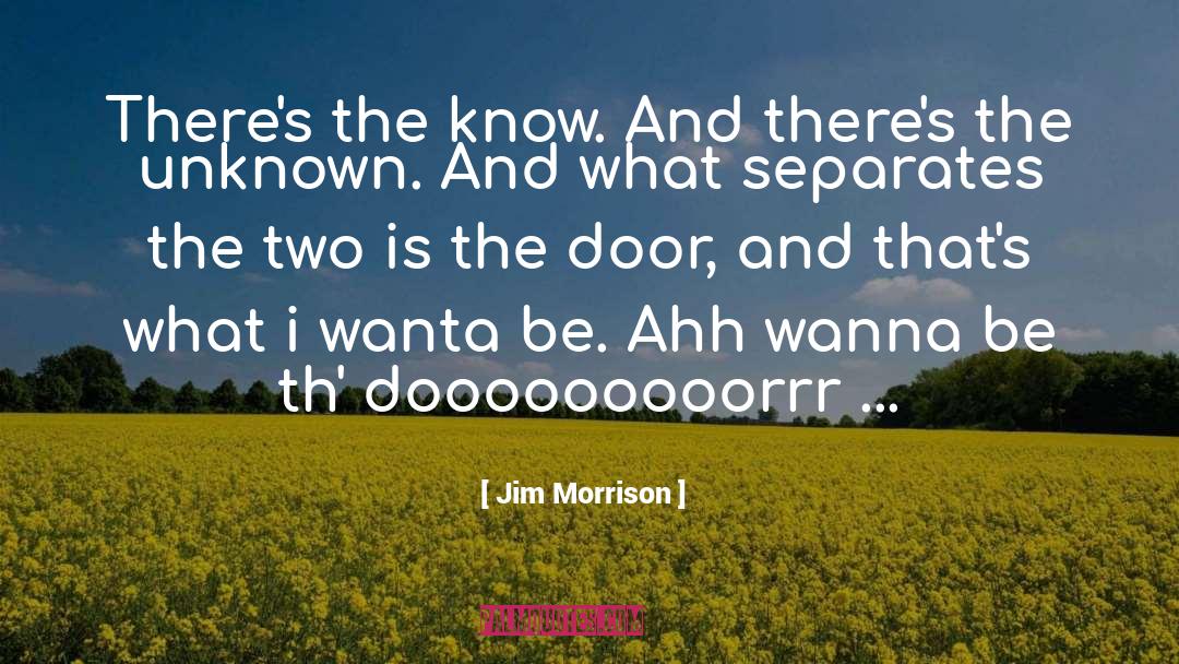 Unknown Worlds quotes by Jim Morrison