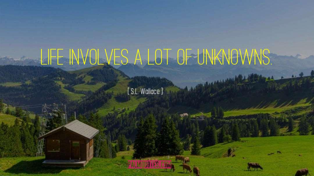 Unknowns quotes by S.L. Wallace