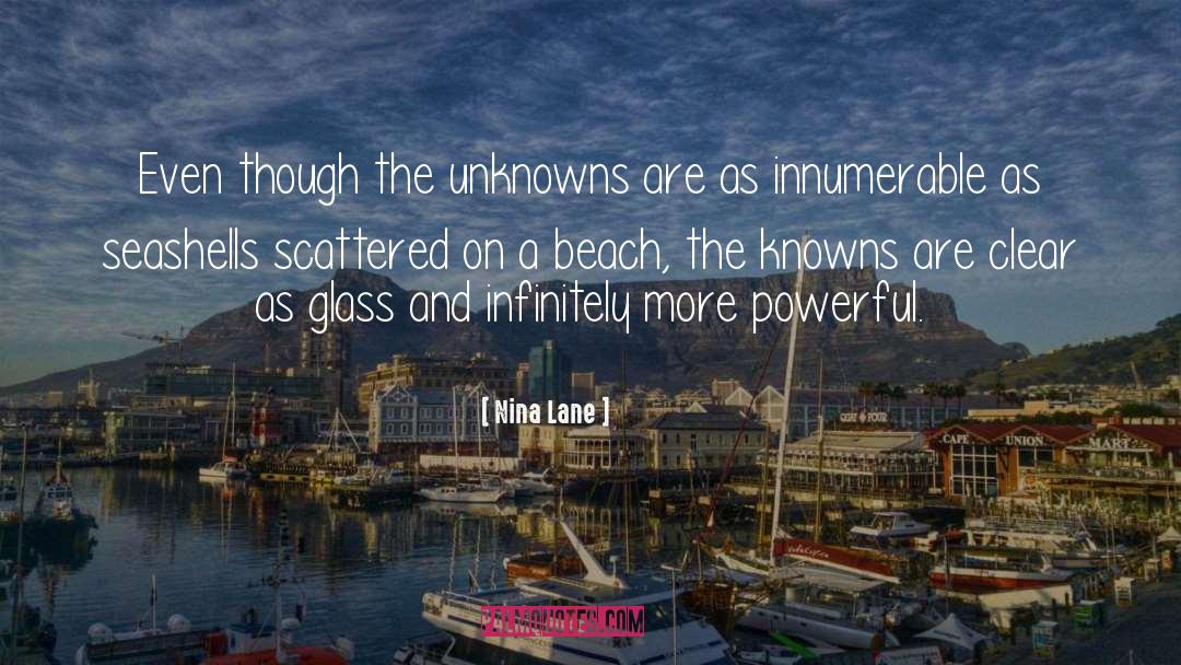 Unknowns quotes by Nina Lane