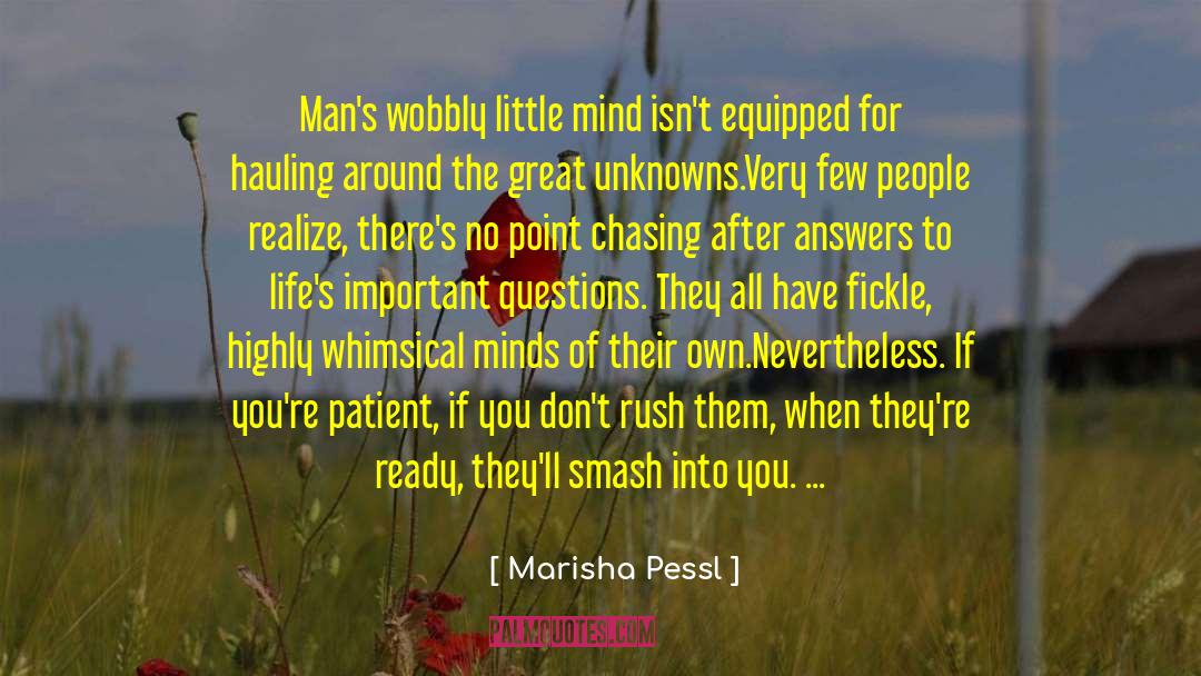 Unknowns quotes by Marisha Pessl