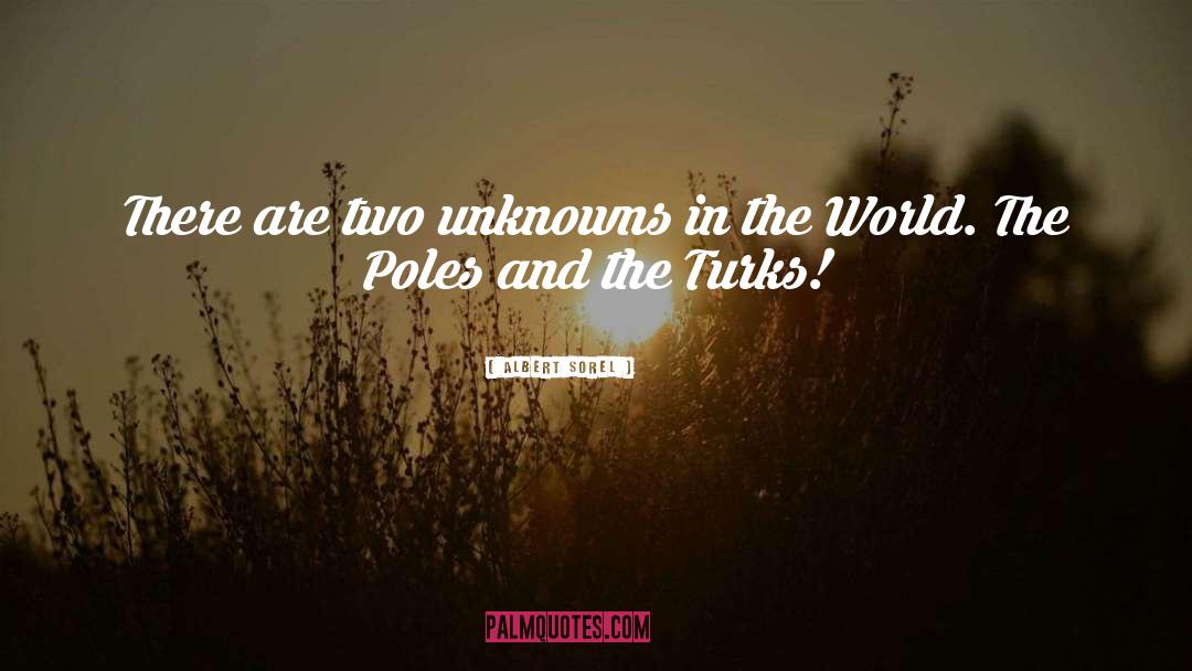 Unknowns quotes by Albert Sorel