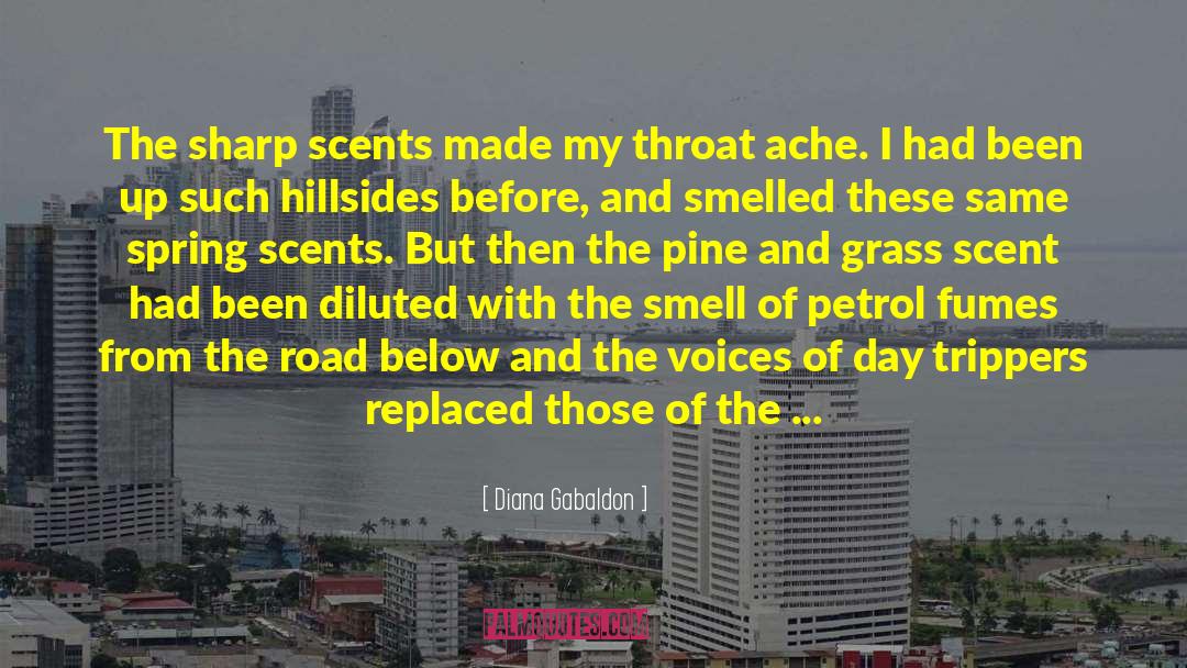 Unleaded Petrol quotes by Diana Gabaldon