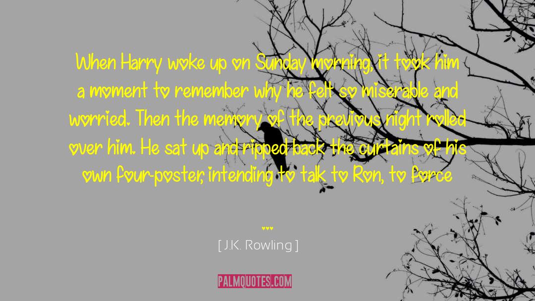 Unlikely Hero Of Room 13b quotes by J.K. Rowling