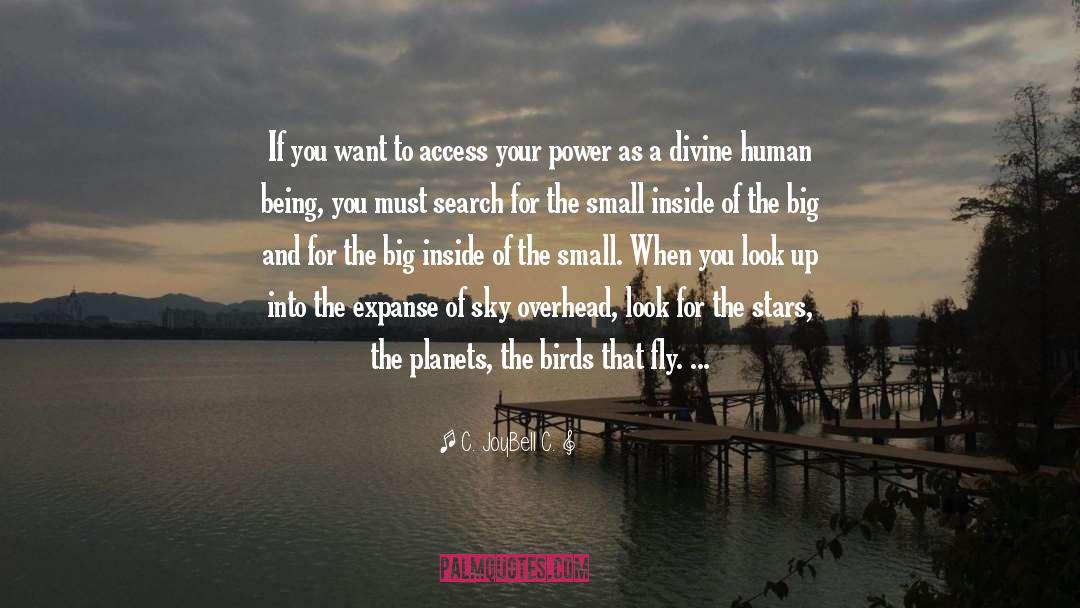 Unlock Your Power quotes by C. JoyBell C.