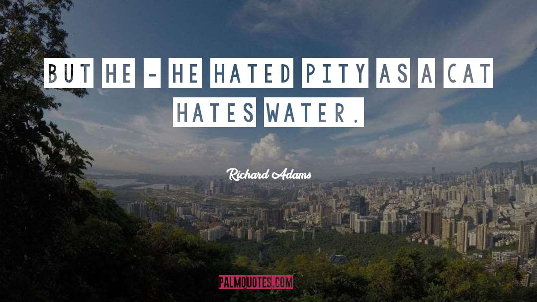 Unmixing Water quotes by Richard Adams