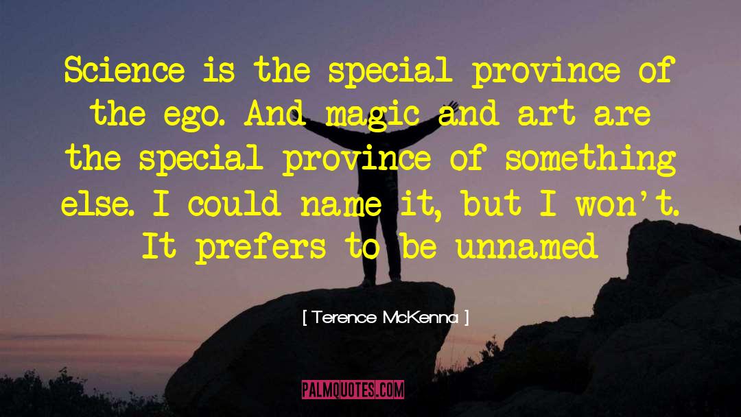 Unnamed quotes by Terence McKenna