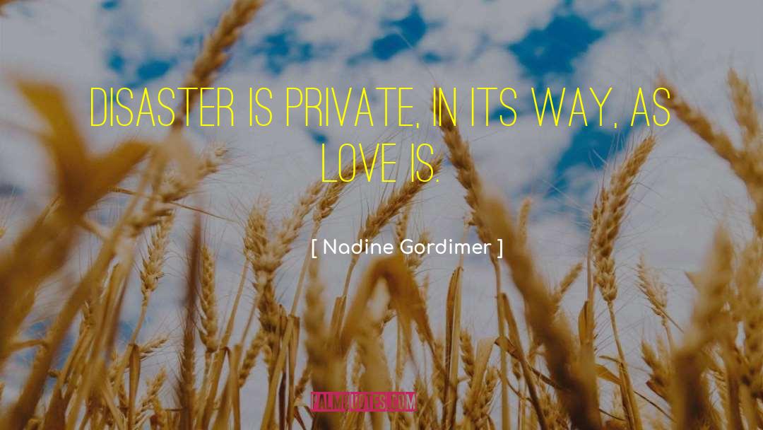 Unnatural Disaster quotes by Nadine Gordimer