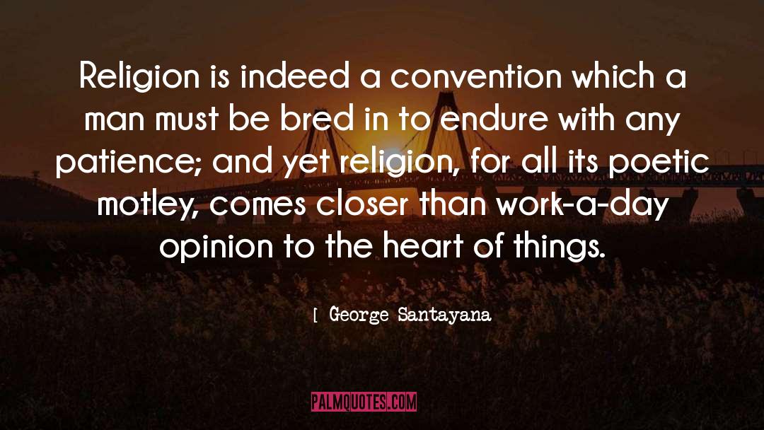 Unnecessary Things quotes by George Santayana