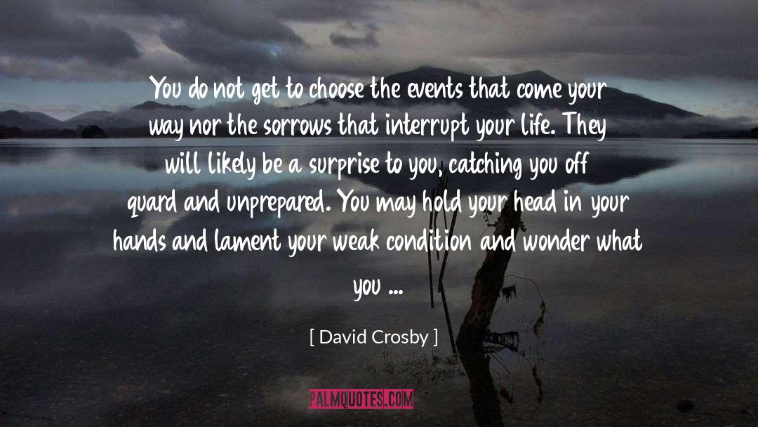 Unprepared quotes by David Crosby