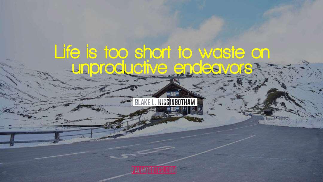 Unproductive quotes by Blake L. Higginbotham