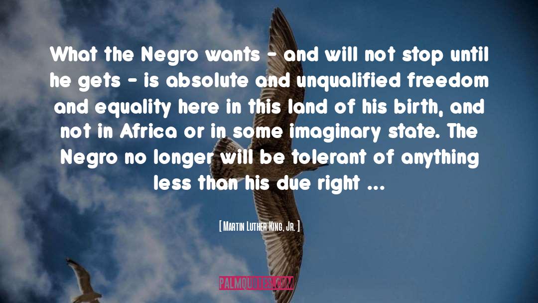 Unqualified quotes by Martin Luther King, Jr.