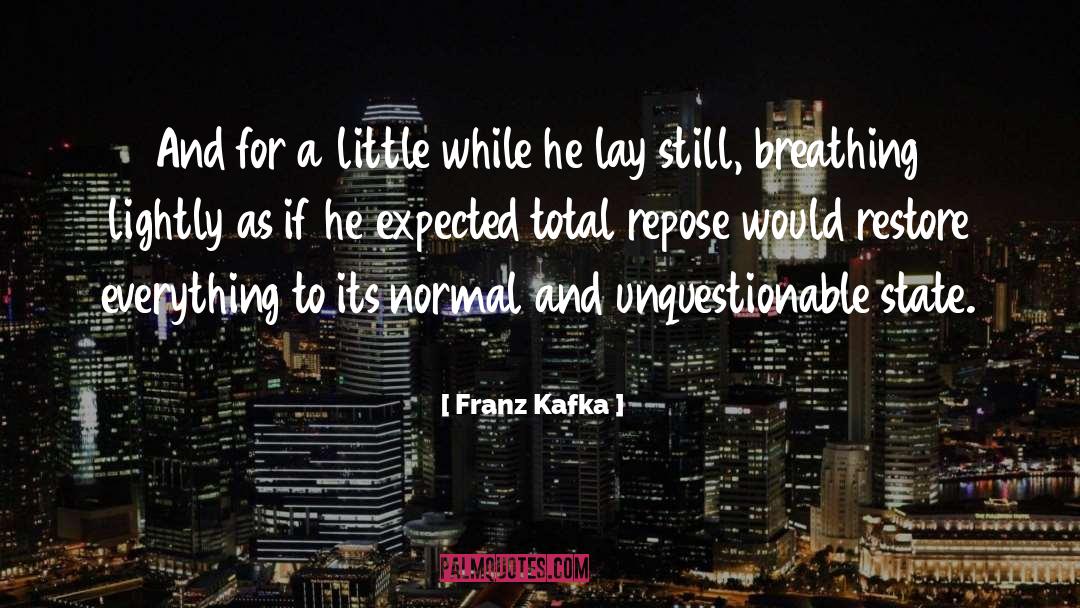 Unquestionable quotes by Franz Kafka