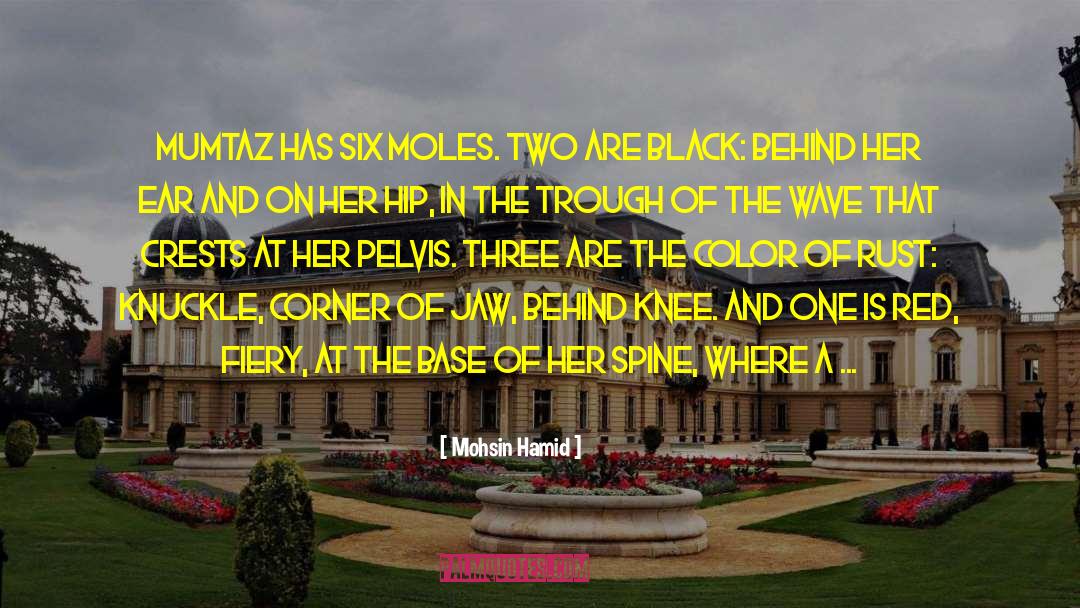 Unraised Moles quotes by Mohsin Hamid
