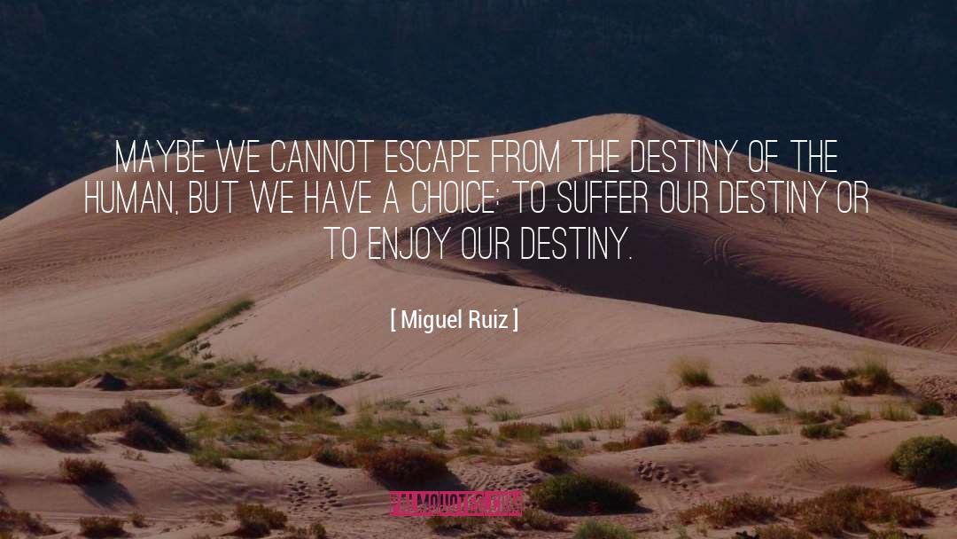 Unrealized Destiny quotes by Miguel Ruiz