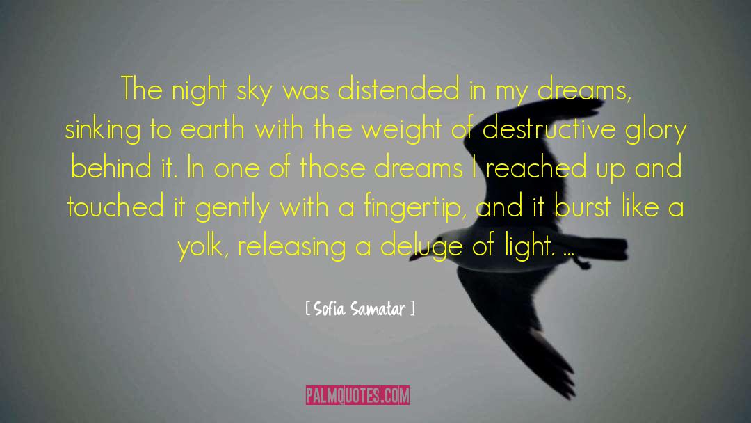 Unrealized Dreams quotes by Sofia Samatar