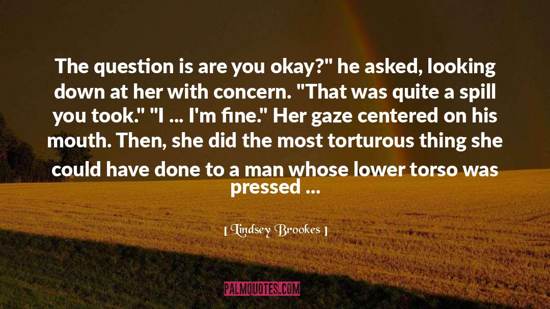 Unresolved Sexual Tension quotes by Lindsey Brookes