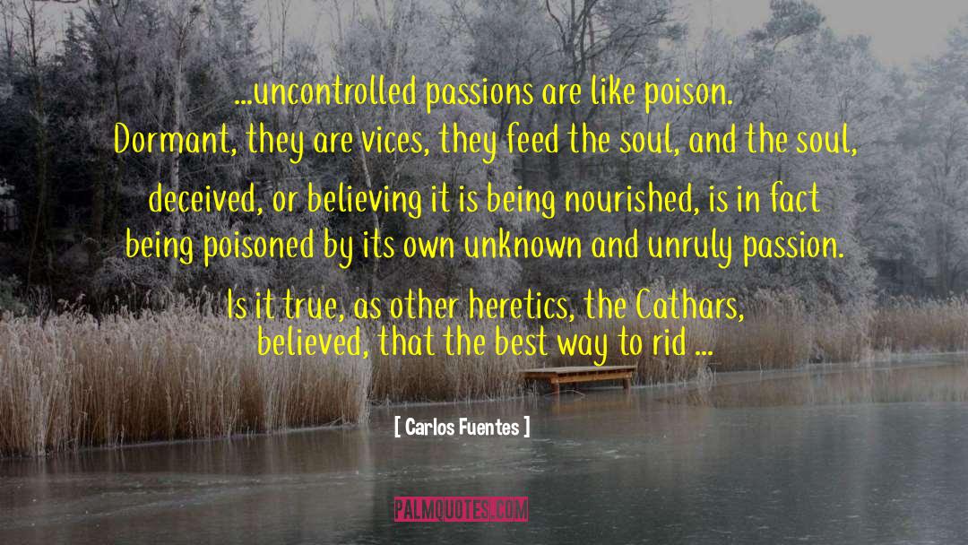 Unruly quotes by Carlos Fuentes