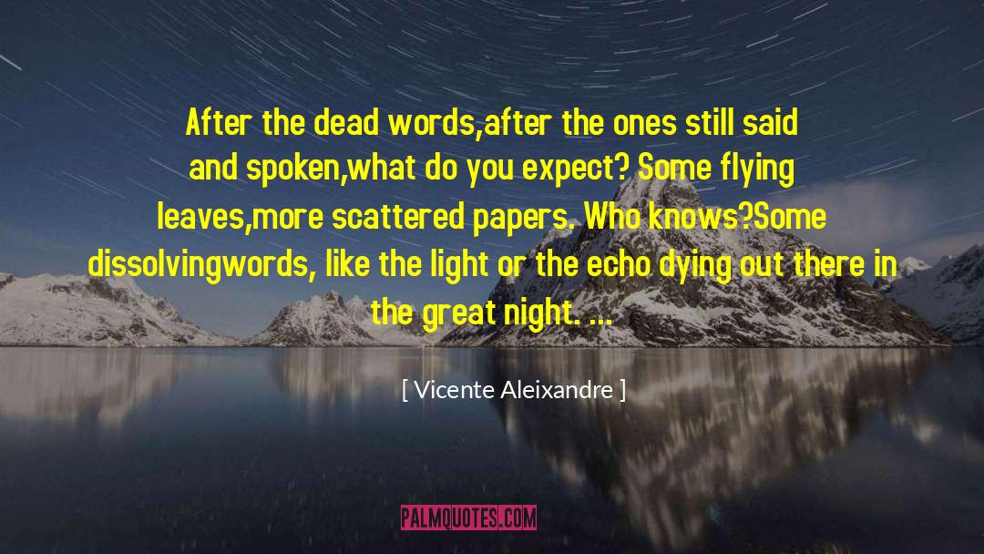 Unsaid Words quotes by Vicente Aleixandre