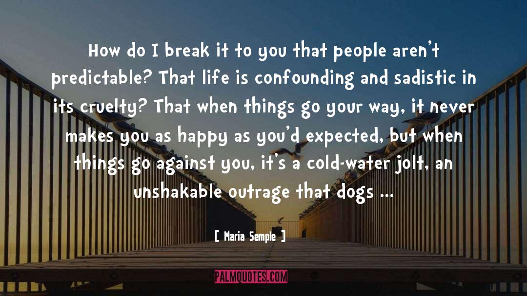 Unshakable quotes by Maria Semple