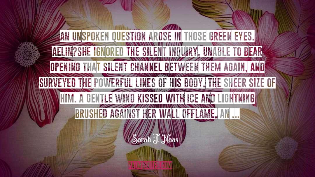 Unspoken quotes by Sarah J. Maas