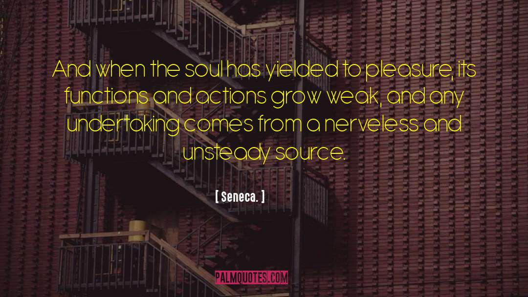 Unsteady quotes by Seneca.