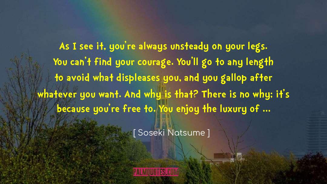 Unsteady quotes by Soseki Natsume