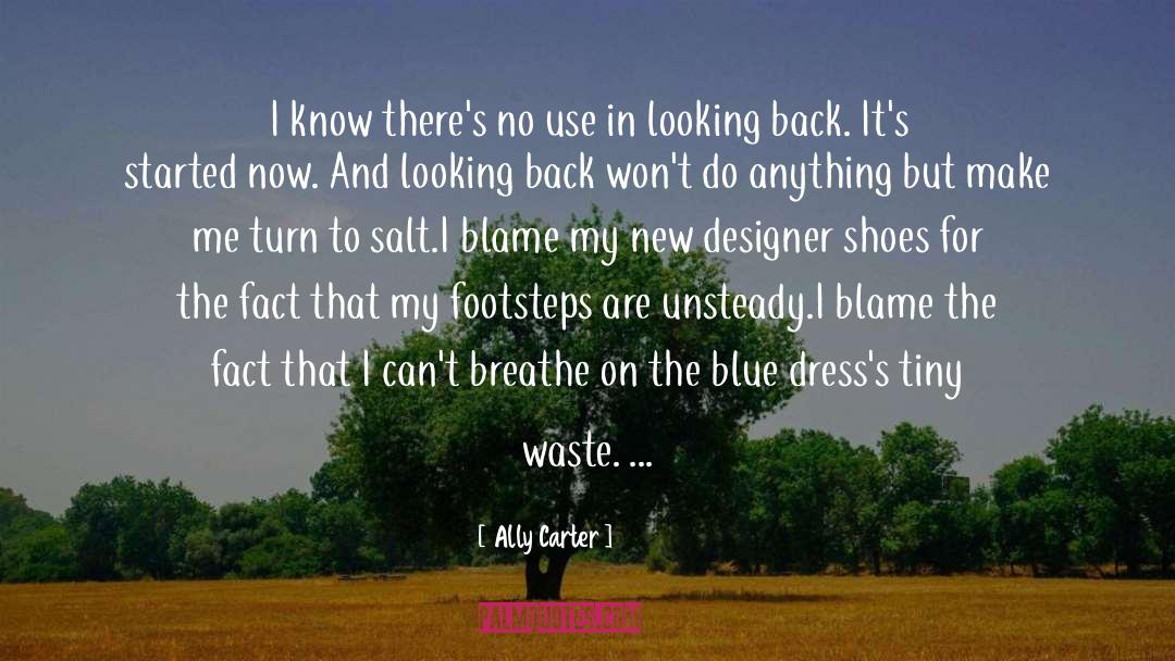 Unsteady quotes by Ally Carter