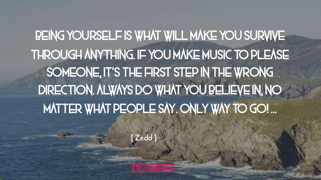 Unsung Music quotes by Zedd