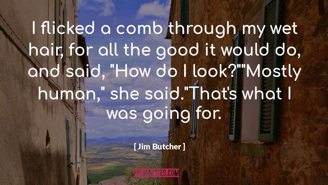 Untangler Comb quotes by Jim Butcher