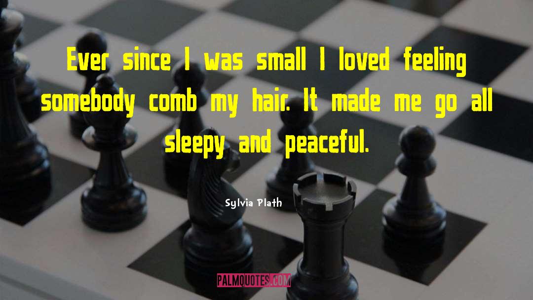 Untangler Comb quotes by Sylvia Plath