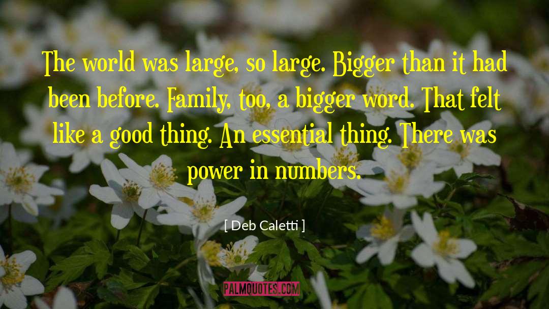 Unterreiner Family quotes by Deb Caletti