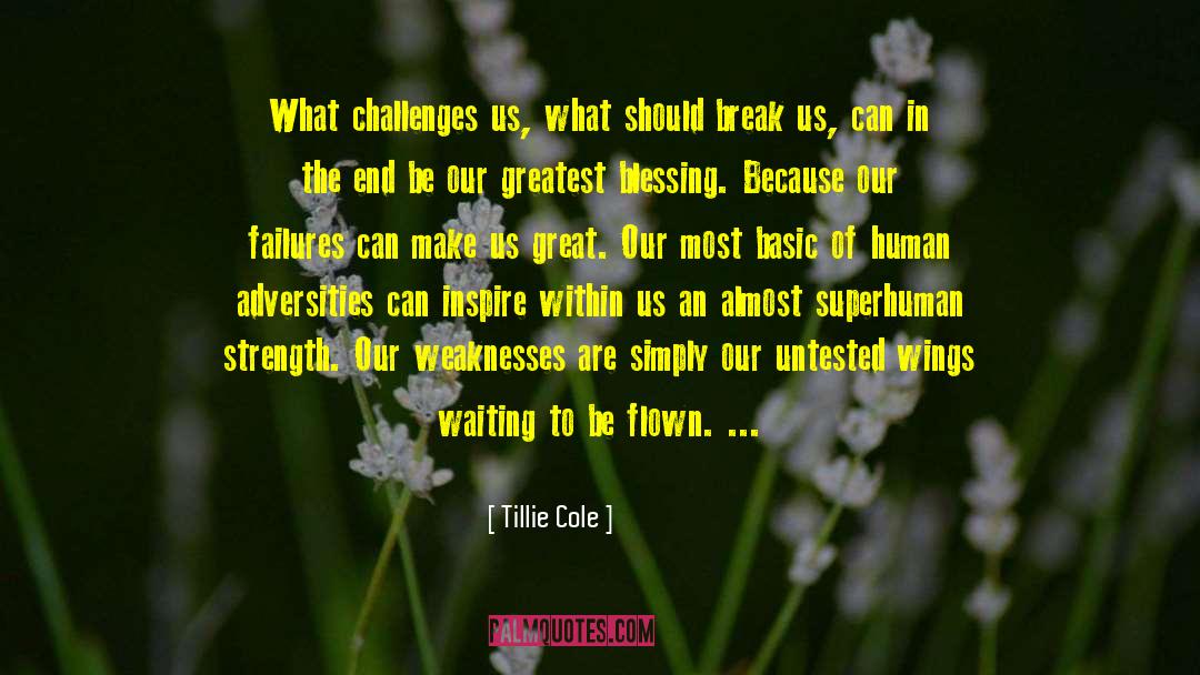 Untested quotes by Tillie Cole