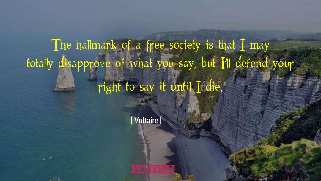 Until I Die quotes by Voltaire