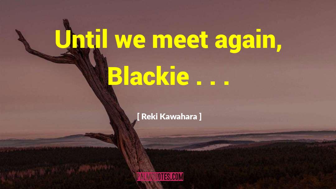 Until We Meet Again quotes by Reki Kawahara